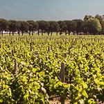 Château Laffitte Carcasset 4* Saint-Estèphe
