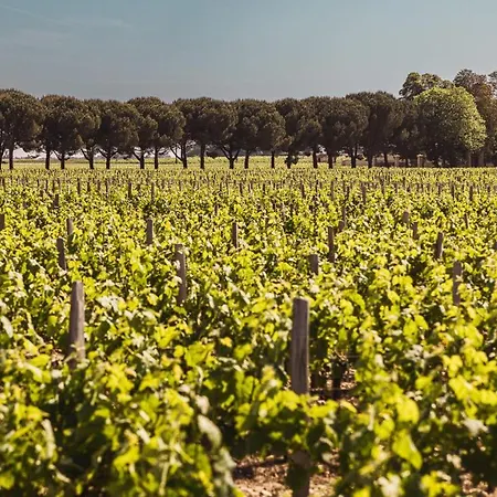 Chateau Laffitte Carcasset 4* Saint-Estèphe