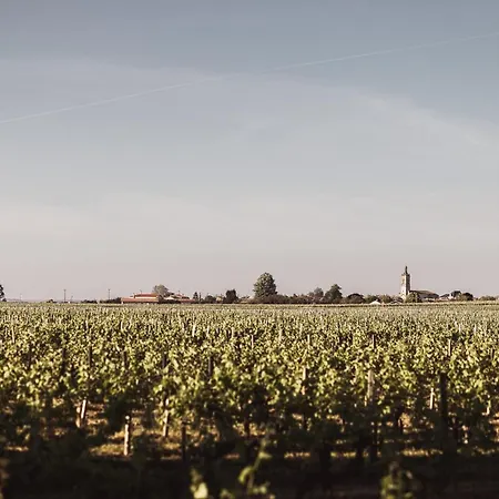 Chateau Laffitte Carcasset Panzió Saint-Estèphe