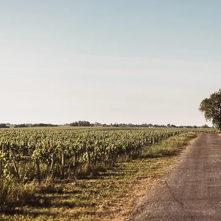 Chateau Laffitte Carcasset Panzió 4*