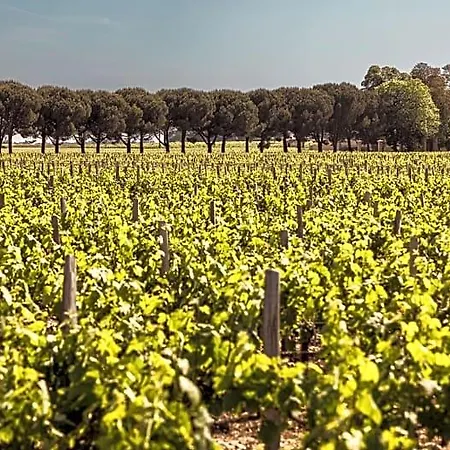 Chateau Laffitte Carcasset