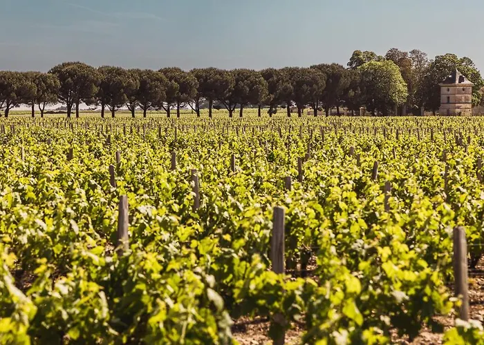 Château Laffitte Carcasset 4* Saint-Estèphe