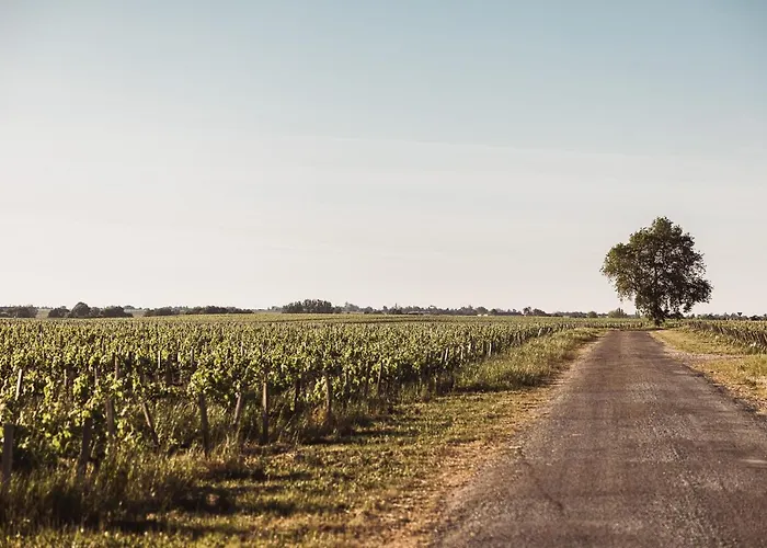 Château Laffitte Carcasset Couette-café 4*